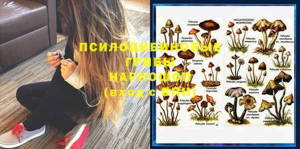 прущий лед Алексеевка