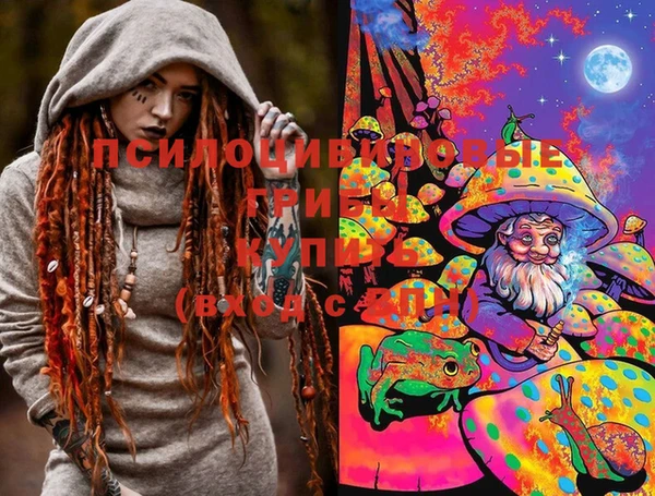 кокс Алзамай