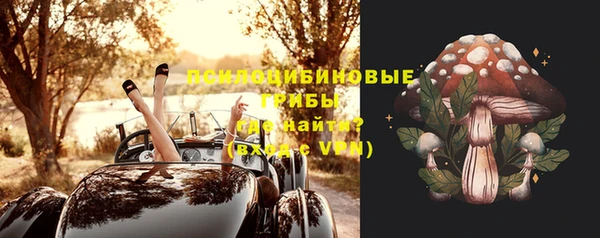 прущий лед Алексеевка