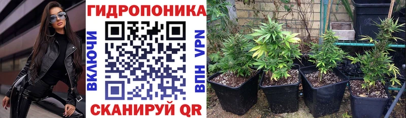 ОМГ ОМГ онион  продажа наркотиков  Катайск  Марихуана VHQ 